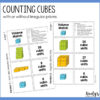 Finding Volume of Rectangular Prisms Practice Activity - Hooty's Homeroom