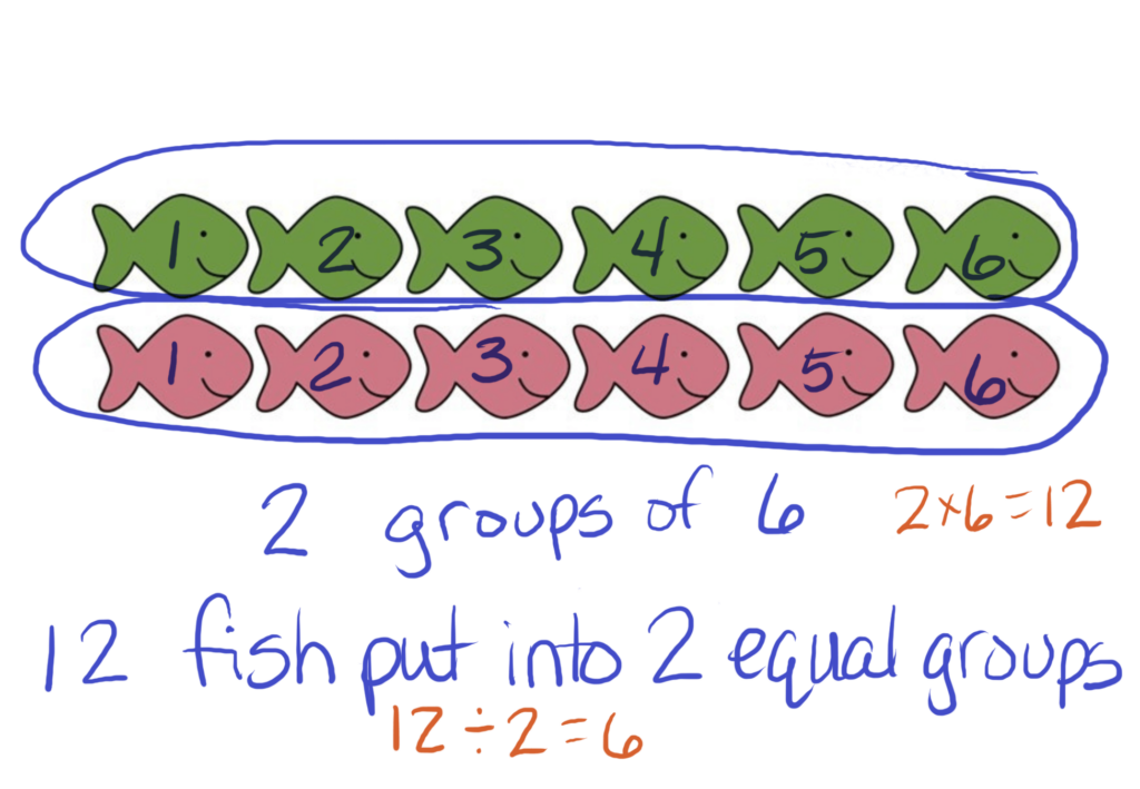 use visual models such as arrays to help students relate multiplication and division